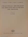 Strukturelle Grundlagen der biologischen Funktion der Proteine