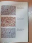 An atlas of laboratory animal haematology