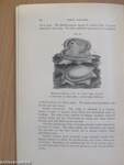 A guide to the shell and starfish galleries (mollusca, polyzoa, brachiopoda, tunicata, echinoderma, and worms), department of zoology British Museum (Natural History)