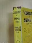 Curiosities of animal life