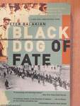 Black Dog of Fate