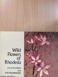 Wild Flowers of Rhodesia
