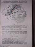 Lehrbuch der Krankheiten des Rückenmarks und Gehirns sowie der Allgemeinen Neurosen