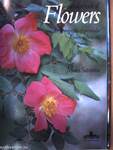 All Color Book of Flowers