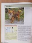 Bassermann Handbuch Hunde