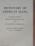 Dictionary of American Slang