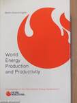 World Energy Production and Productivity