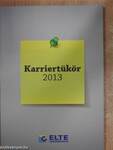 Karriertükör 2013