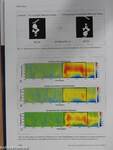 Computermodelle in der Wissenschaft - zwischen Analyse, Vorhersage und Suggestion - DVD-vel