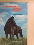 Sandra und der schwarze Hengst