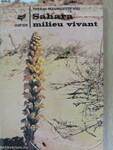 Sahara milieu vivant