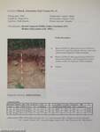 "Soil Classification 2001"