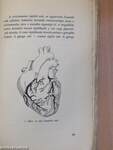 Mit kell tudnunk a szívről és a szívbajok megelőzéséről