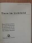 Tiere im Lichtbild