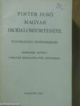 Pintér Jenő magyar irodalomtörténete III. (töredék)
