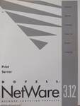 Novell NetWare 3.12 - Print Server