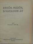 Erdőn, mezőn, sivatagon át/Az utolsó Hunyadi/Boldog vakáció I-II.