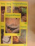 Herpetofauna Februar-Dezember 1989.