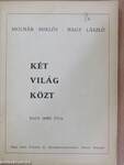 Két világ közt