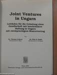 Joint Ventures in Ungarn