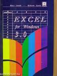 Excel 3.0 for Windows