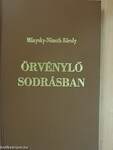 Örvénylő sodrásban