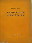 Gazdaságos széntüzelés