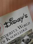 Disney's Wonderful World of Knowledge