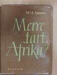 Merre tart Afrika?