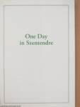 One Day in Szentendre