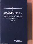 A számvitel nagy kézikönyve 2013