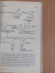 Dynamische Biochemie 2.