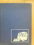 Tally Stick 73