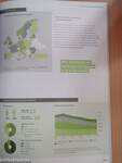 European Drug Report 2013