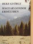 Magyar gondok Erdélyben