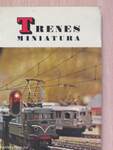 Trenes miniatura