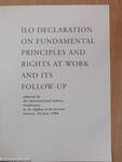 ILO declaration on fundamental principles and rights at work and its follow-up