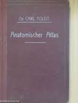 Anatomischer atlas für studierende und Ärzte II.