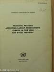 Principal Factors Affecting Labour Productivity Trends in the Iron and Steel Industry