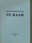 Spaziergänge in Győr/Raab