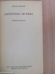 Lockvogel im Nerz