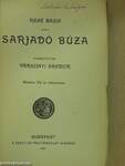 Sarjadó búza