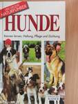 Hunde