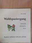 Waldspaziergang