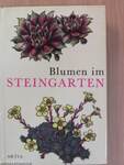 Blumen im Steingarten