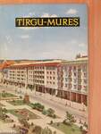 Tirgu-Mures