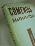 Comenius Magyarországon