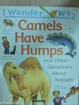 I Wonder Why Camels Have Humps