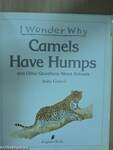 I Wonder Why Camels Have Humps