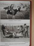 The National Spanish Fiesta or The Art of Bullfighting